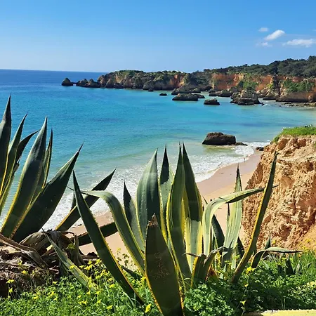 דירה Algarve Near The Rosa 407 פורטימאו