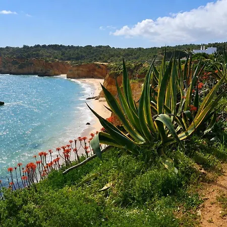 Algarve Near The Rosa 407 דירה *